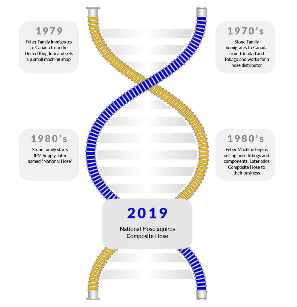 FlexComp DNA infographic